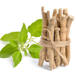 Ashwagandha Ashwagandha Root