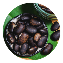 Velvet Bean Seeds Velvet Bean Seed Extract